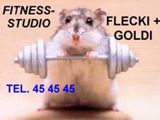 Fitness-Studio Flecki und Goldi
