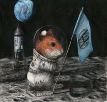 Hamster auf dem Mond?